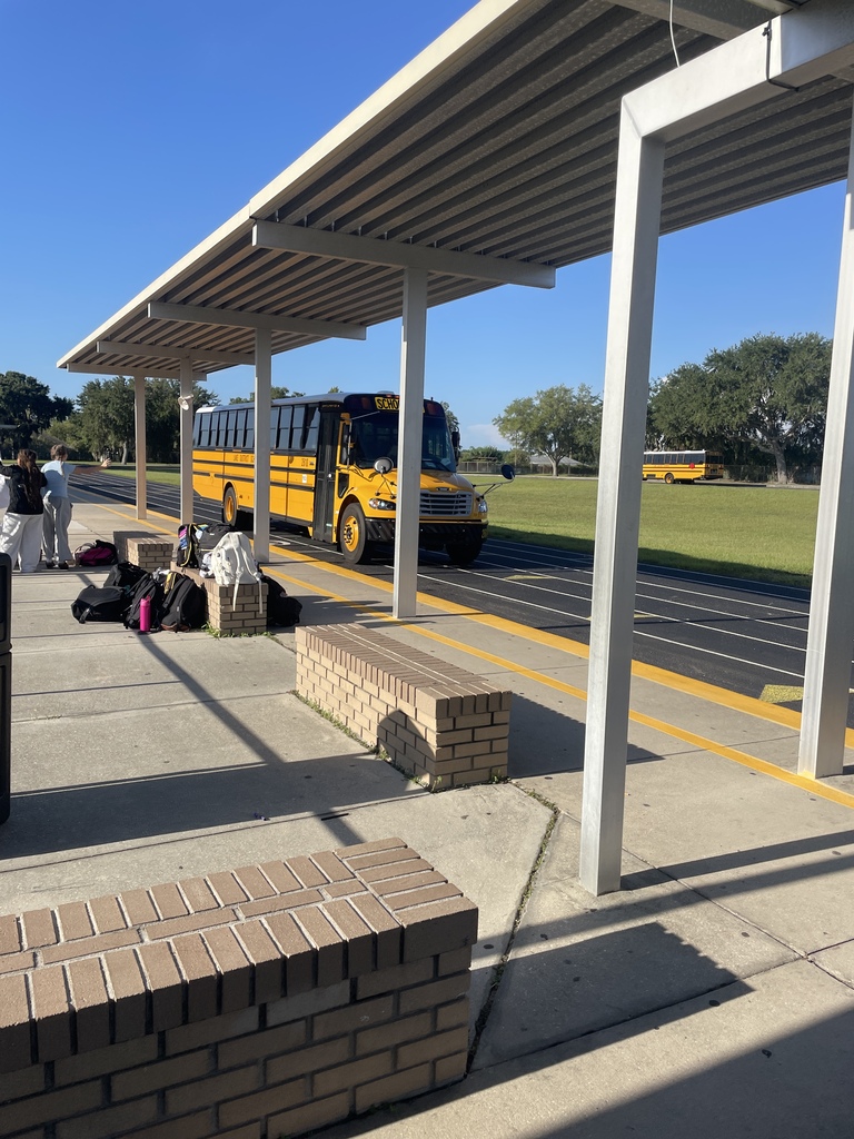 A bus stop with benches. A yellow school bus drives past. A grassy field and other buses are in the background.
