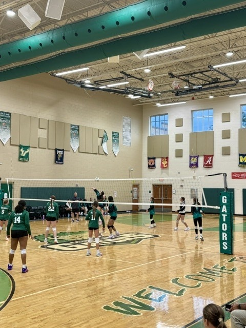 volleyball 