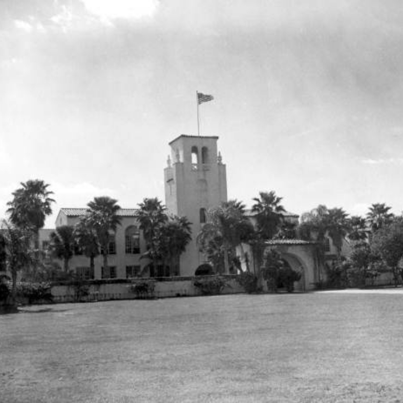 palms