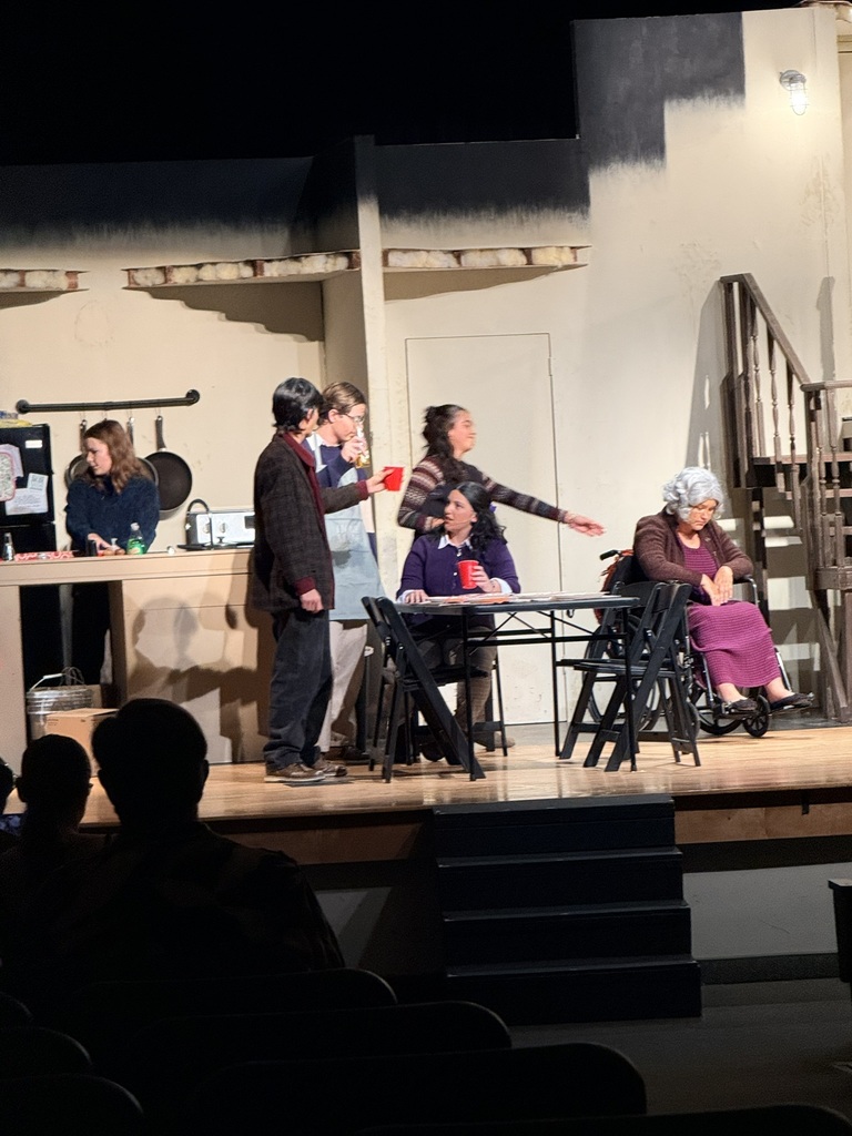 Several people stand on a stage in front of an audience. One woman sits in a wheelchair.