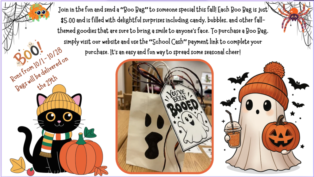 Boo Bag