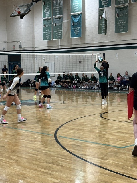 volleyball WHMS vs. MHA