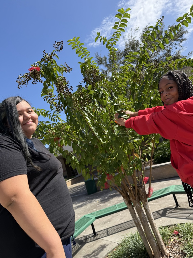 Two people stand by a tree with red berries. One holds a branch. Behind them, a bench and trees.