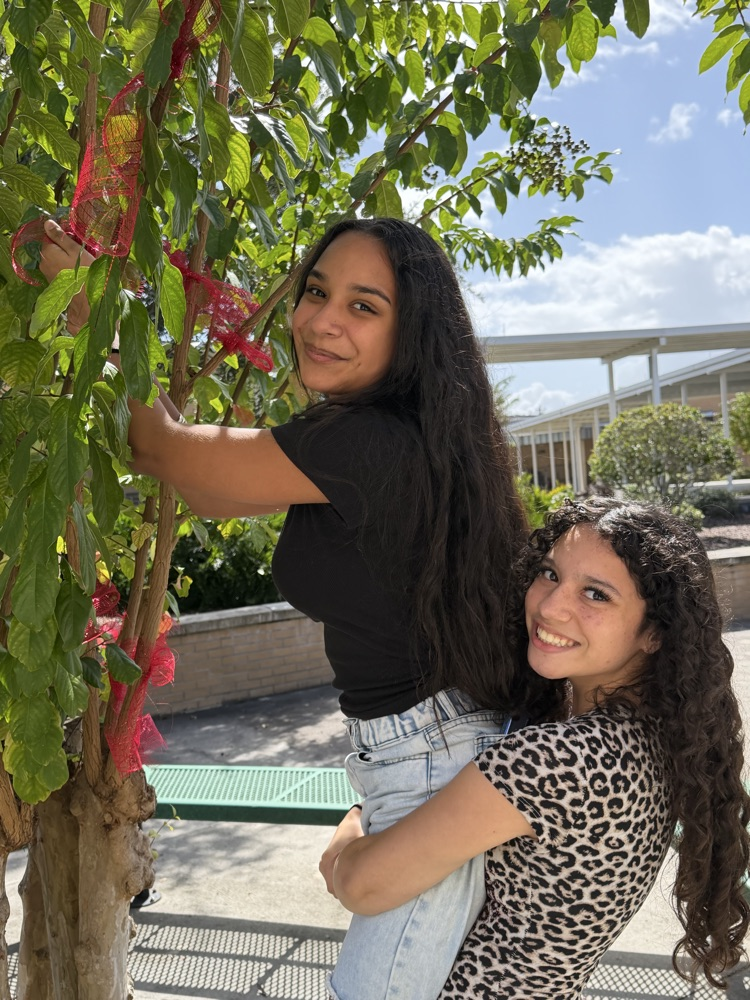 Two girls with long hair stand by a tree, one climbing it, both smiling for the camera.