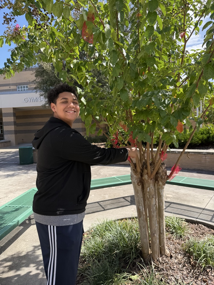 Person in a black hoodie standing next to a tree with red berries and holding a branch.