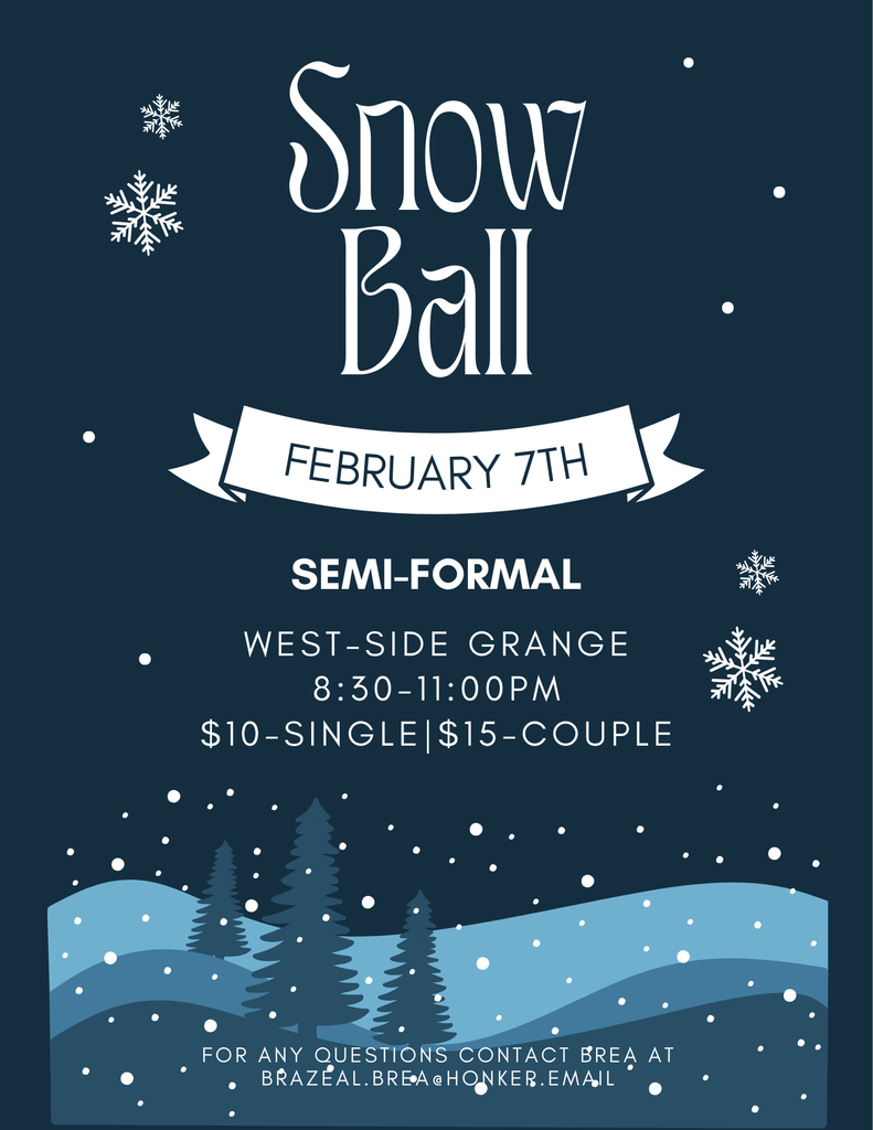 Snow Ball Flyer