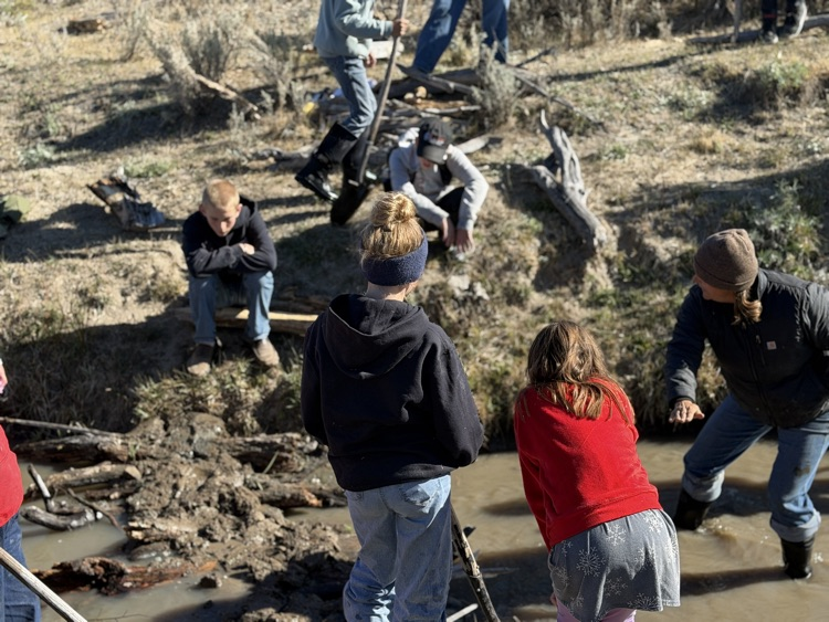 building a dam