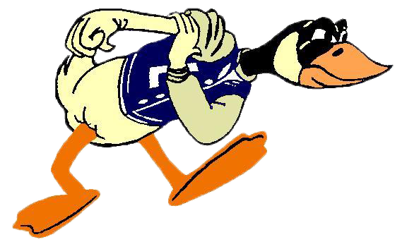 Fighting Honker