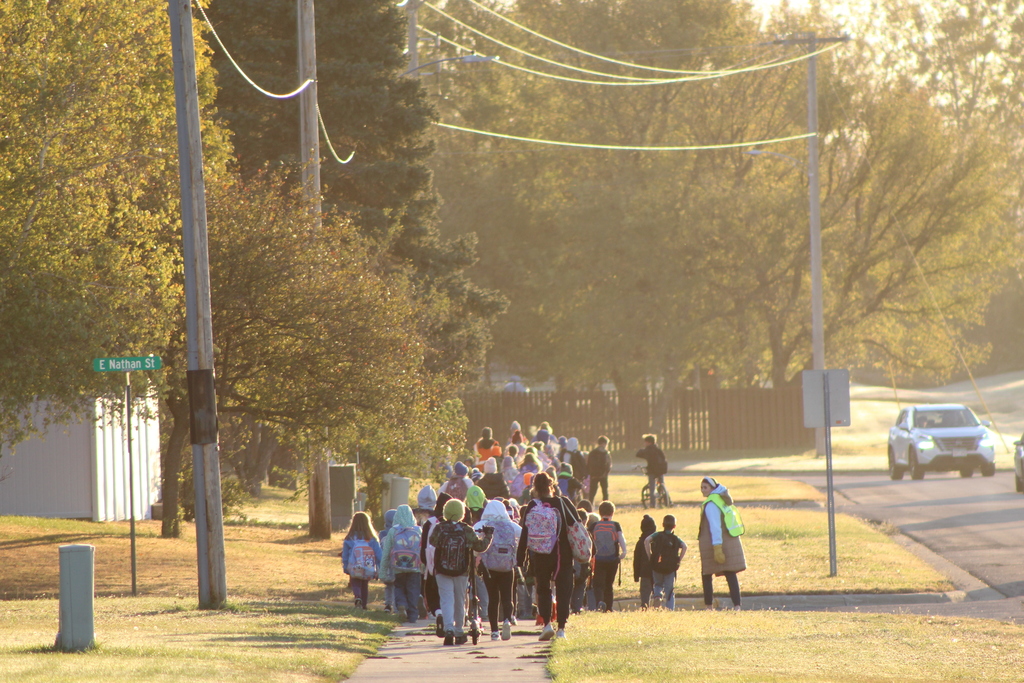 A large group of students on the sidewalk and boulevard walking to school.