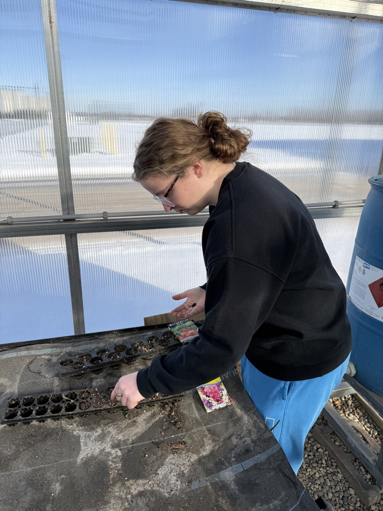 students planting seeds in the greenhouse 