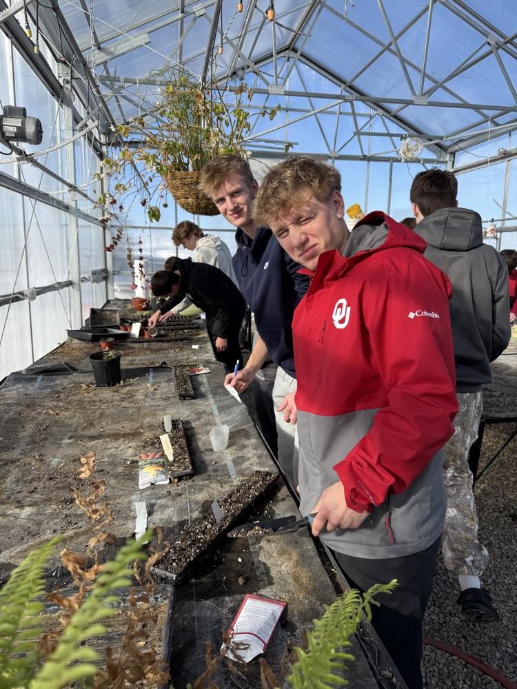 students planting seeds in the greenhouse 