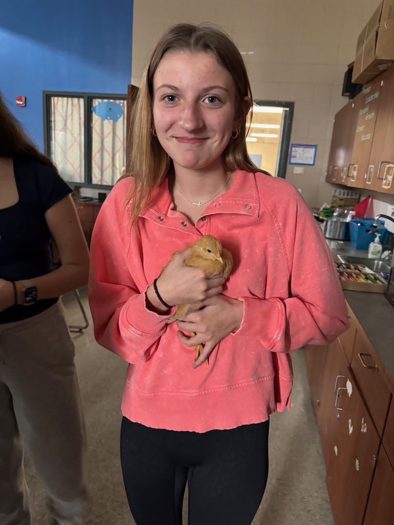 Student holding chicken in classroom. 