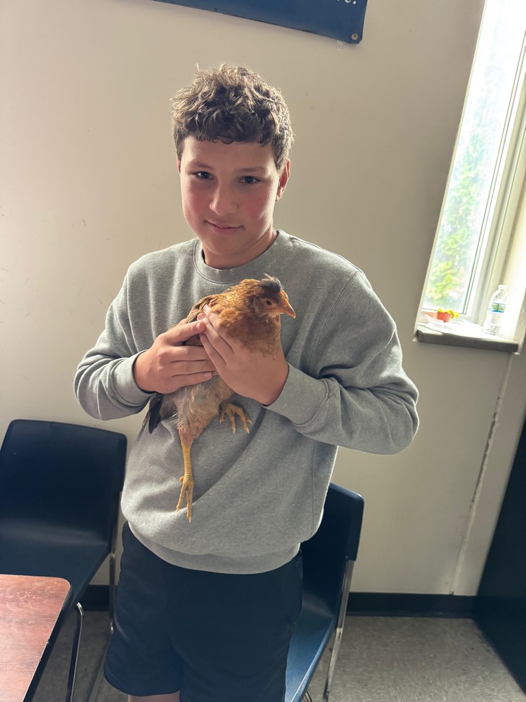Student holding chicken in classroom. 