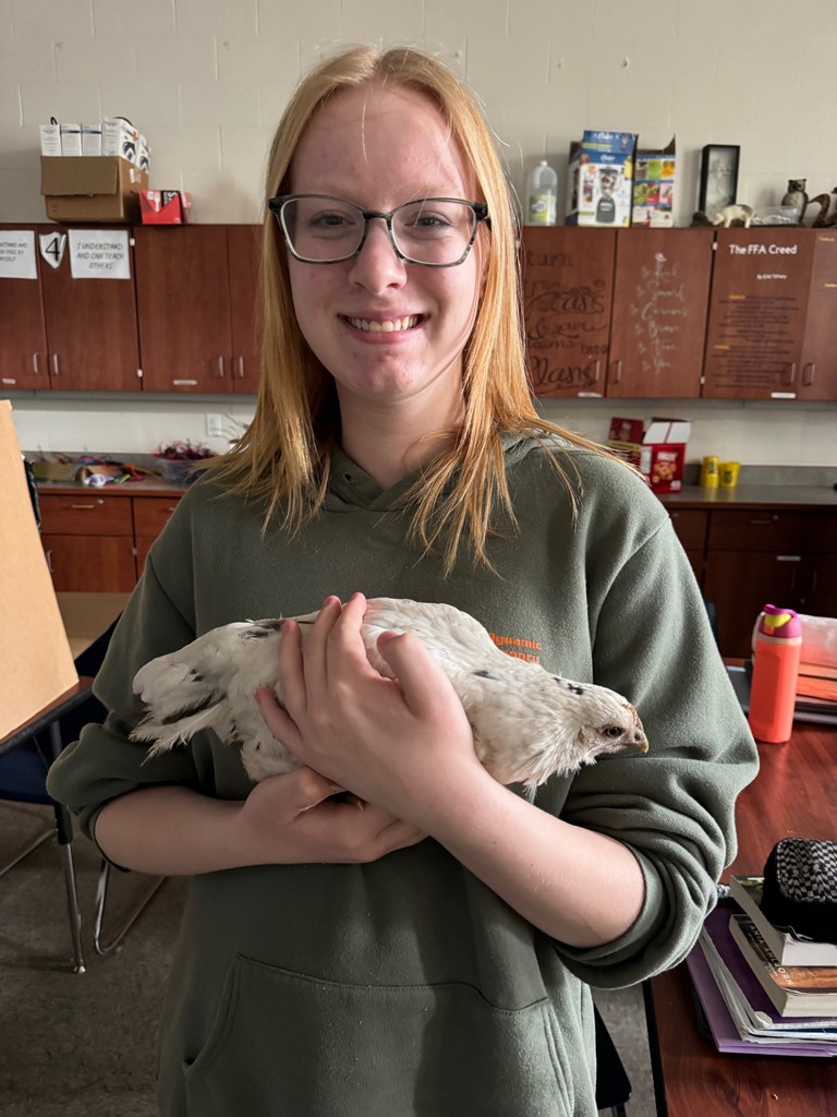 Student holding chicken in classroom. 