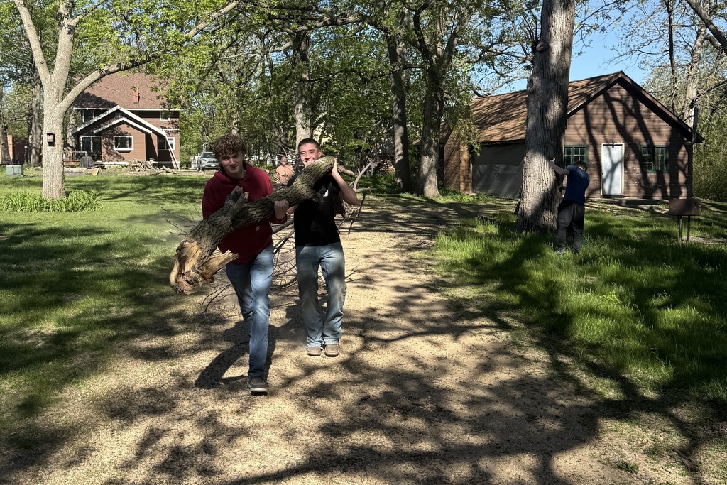 Two students carrying a large branch on a gravel path away from the scout cabin. 