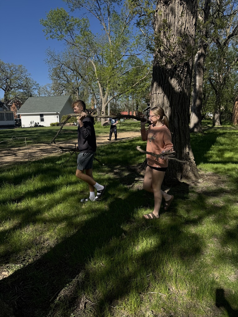 Students carrying a big branch