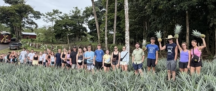 Students in a line at a pineapple farm