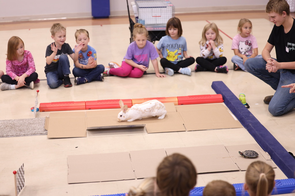 kids sitting around a cardboard race track with a turtle and a rabbit racing eachother.