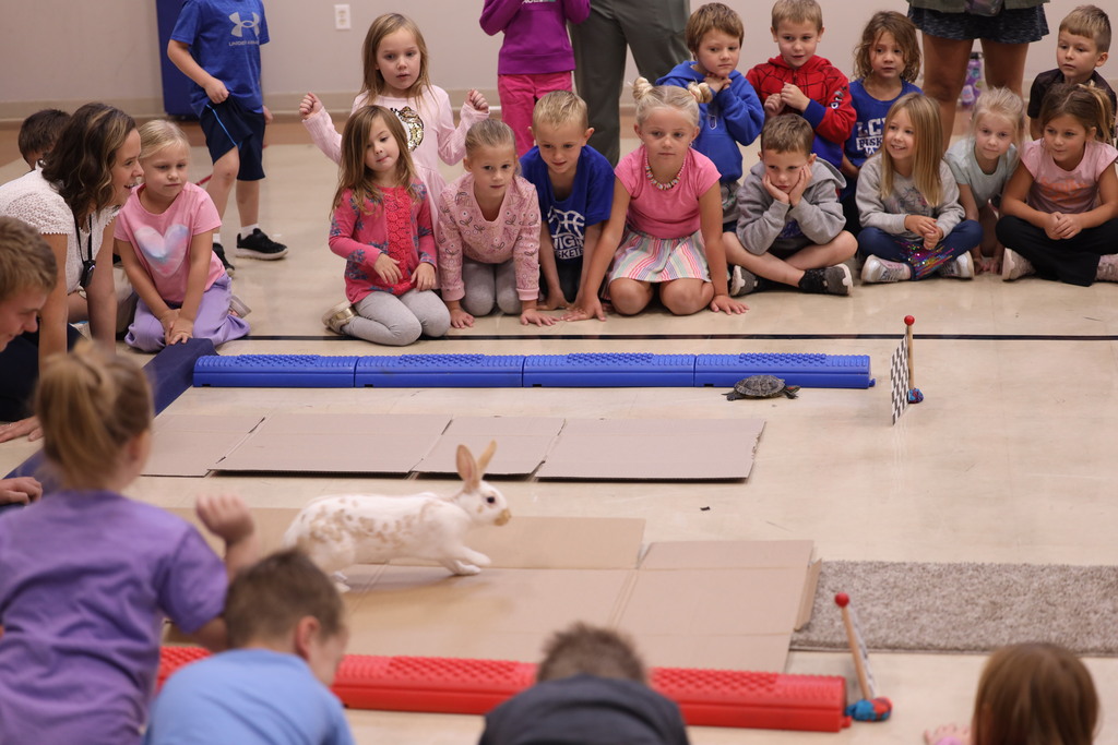 kids sitting around a cardboard race track with a turtle and a rabbit racing eachother.