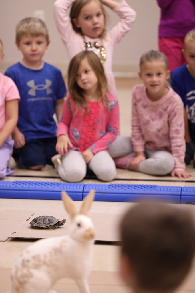 kids sitting around a cardboard race track with a turtle and a rabbit racing eachother.