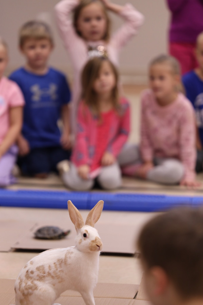 kids sitting around a cardboard race track with a turtle and a rabbit racing eachother.