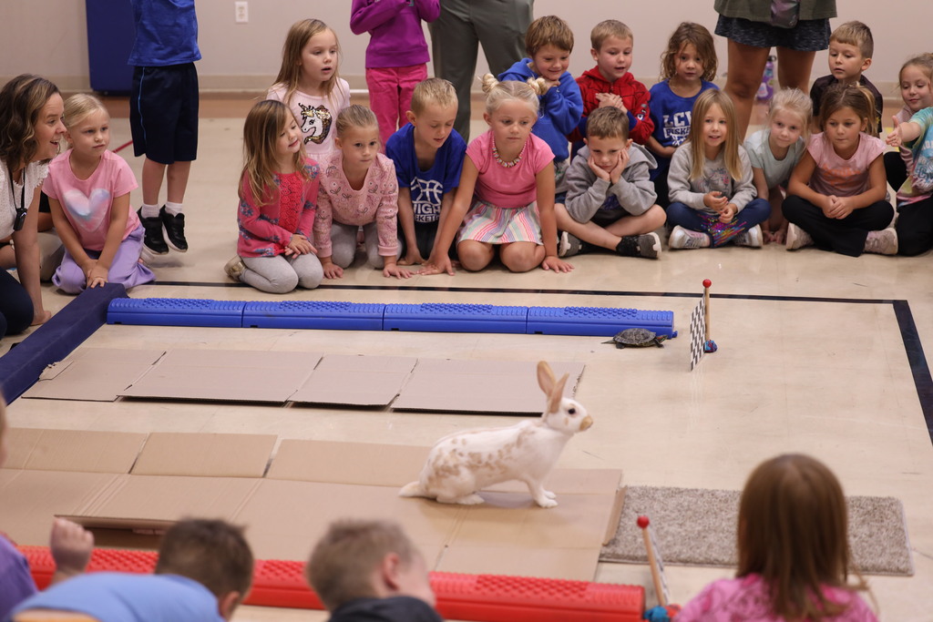 kids sitting around a cardboard race track with a turtle and a rabbit racing eachother.