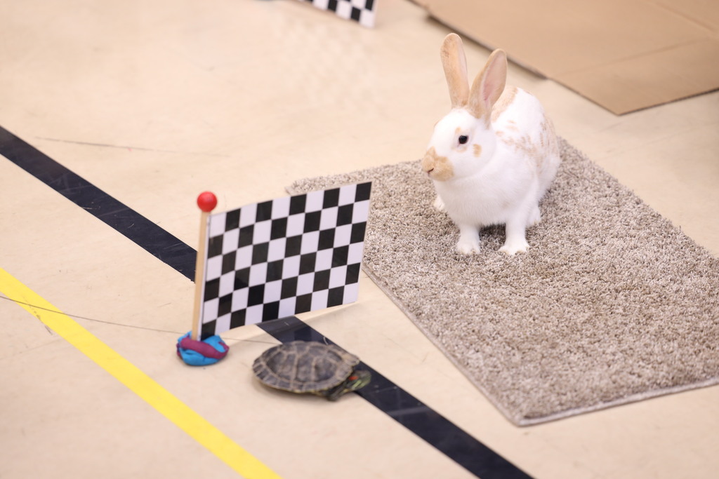 rabbit and turtle sitting by a checkered flag.