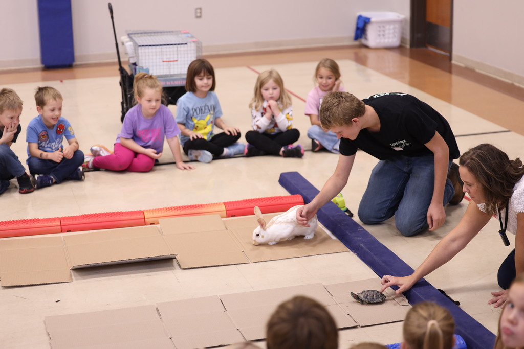 kids sitting around a cardboard race track with a turtle and a rabbit racing eachother.