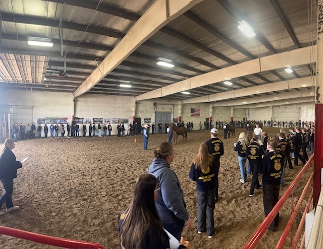 Students in a horse arena watching the judging.
