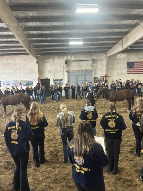 Students in a horse arena watching the judging.