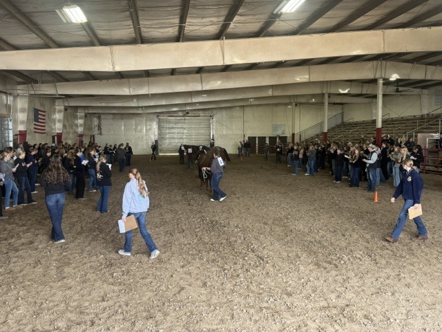 Students in a horse arena watching the judging.