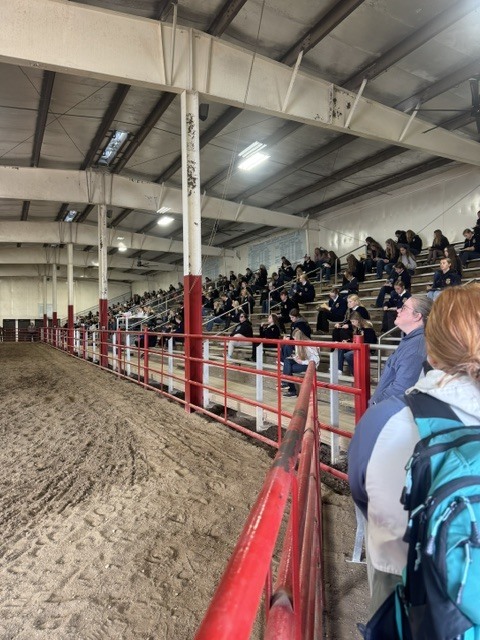 Students in a horse arena watching the judging.