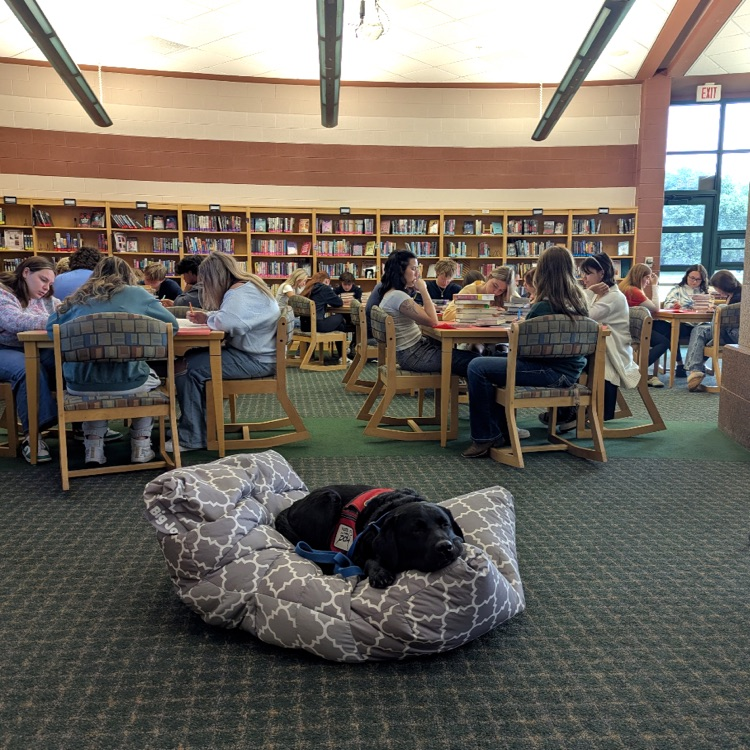 got sleeping in a library