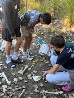 students looking at wildlife bones