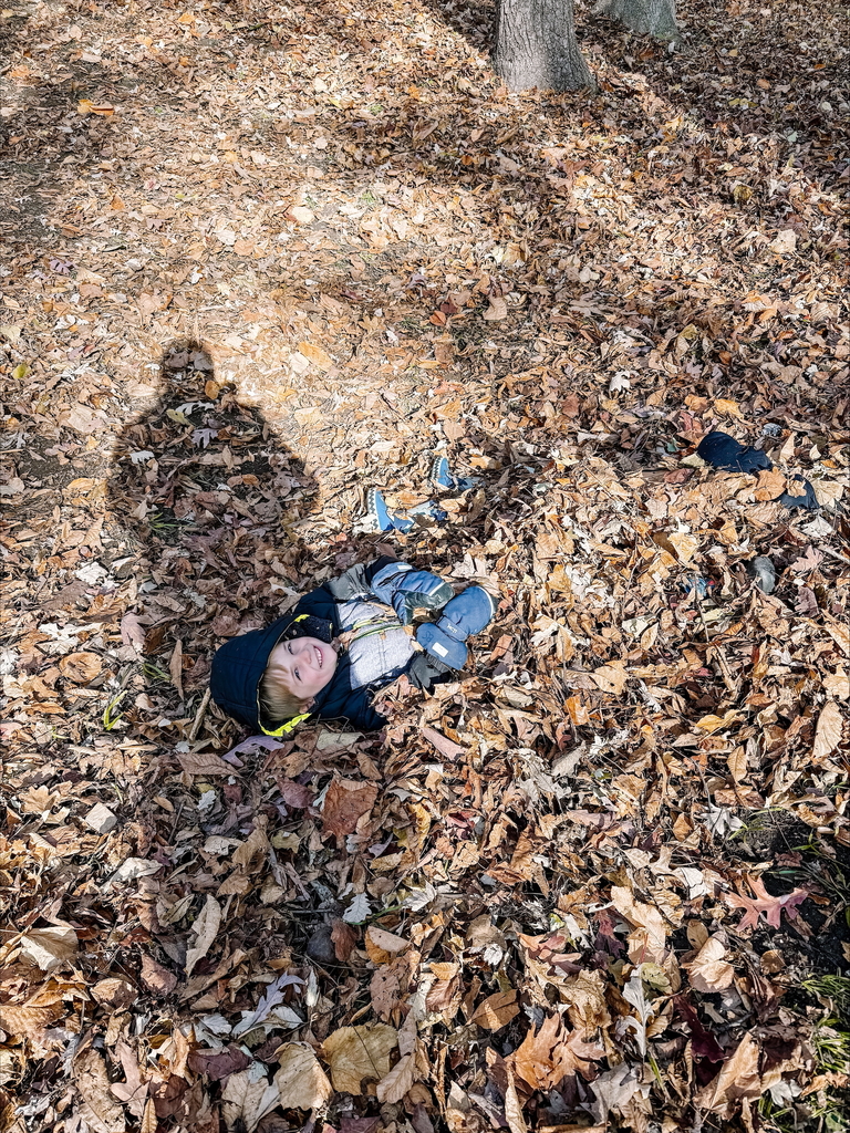 little boy playing in leaves