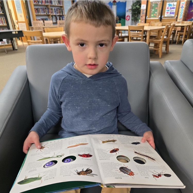 little boy holding a book