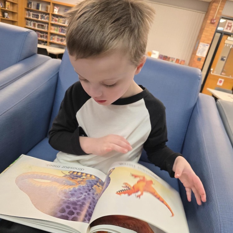 little boy reading a book