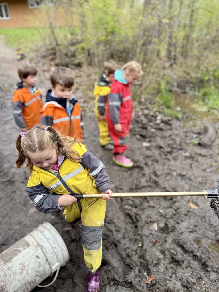 kids frog hunting in the woods