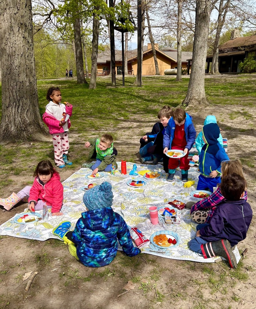 kids having a picnic outside