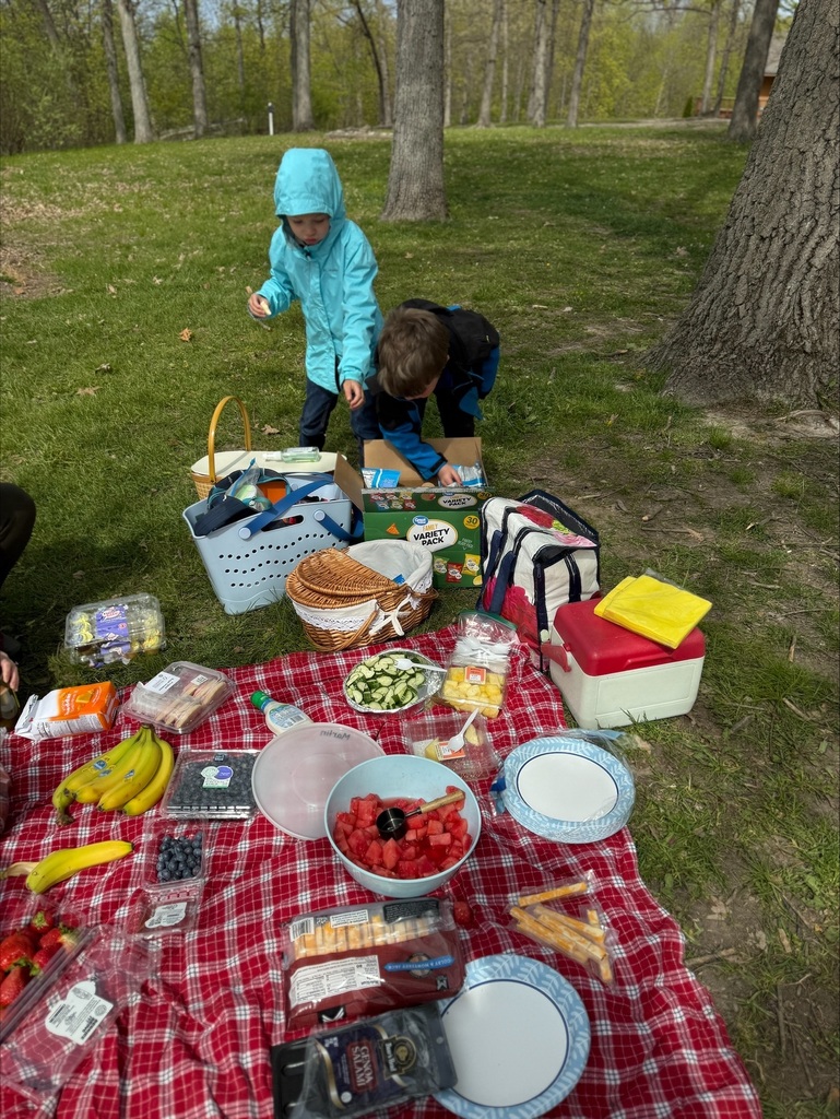kids having a picnic outside