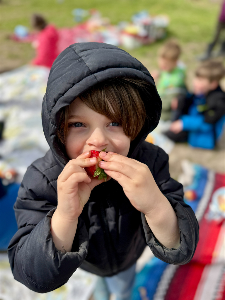 boy eating a strawberry