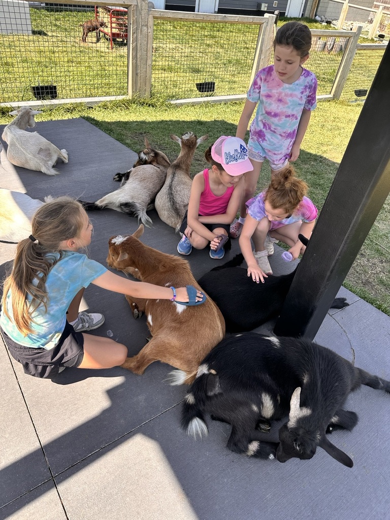 4 girls petting goats