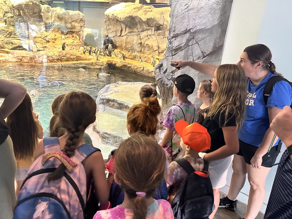 group of children looking at a penguin exhibit