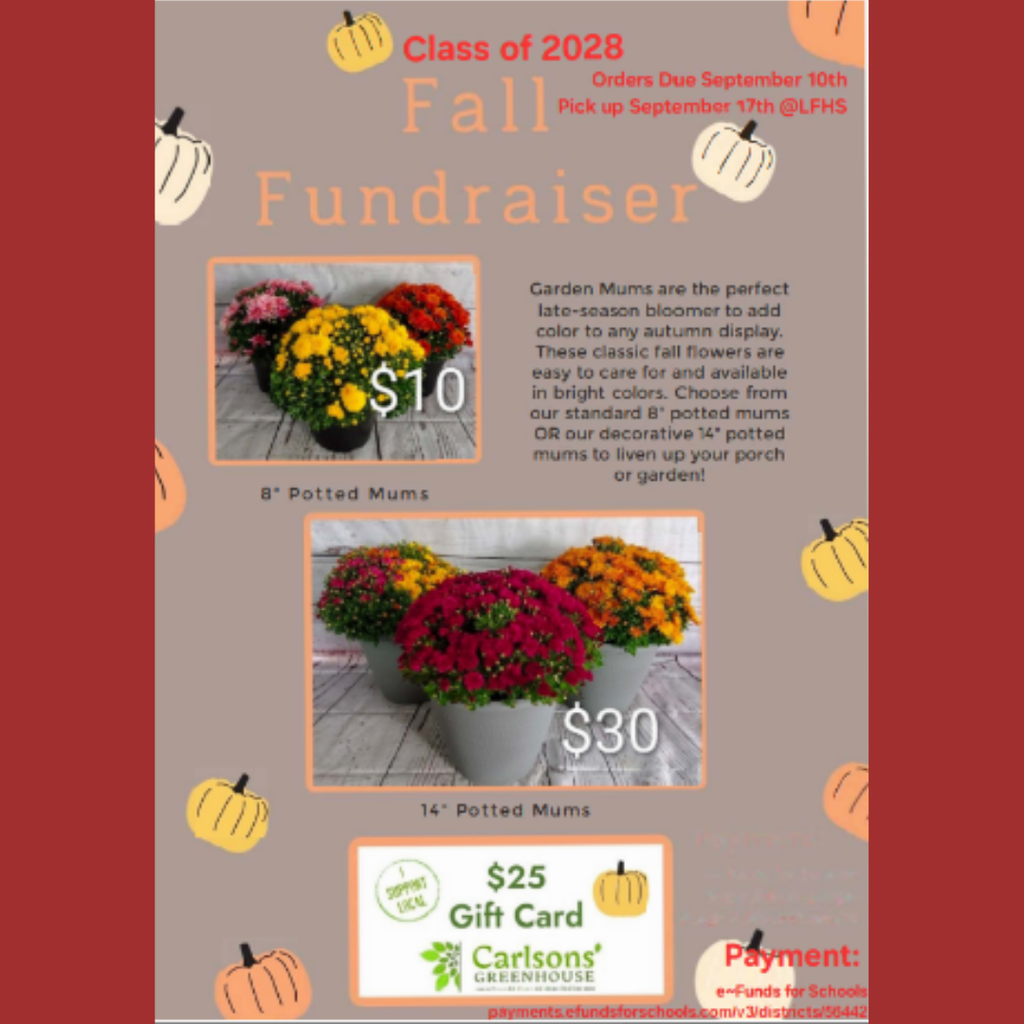 Lake Fenton Class of 2028 Fall Fundraiser flyer featuring fall mums and pumpkins. The fundraiser offers 8-inch potted mums for $10, 14-inch potted mums for $30, and $25 Carlson’s Greenhouse gift cards. Orders are due September 10, with pickup September 17 at Lake Fenton High School. Garden mums are available in bright colors and are described as easy-to-care-for late-season flowers perfect for fall displays. Payment can be made through e-Funds for Schools at payments.efundsforschools.com/v3/districts/56442.