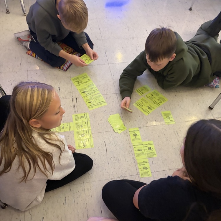 4 children sitting on a classroom floor working with green cards