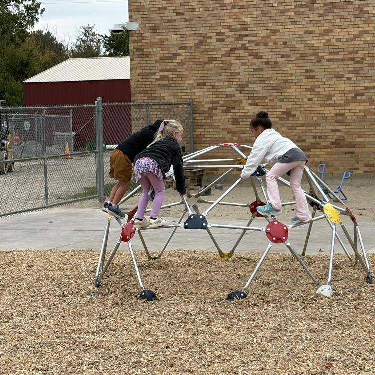 students climbing on a metal dome play structure