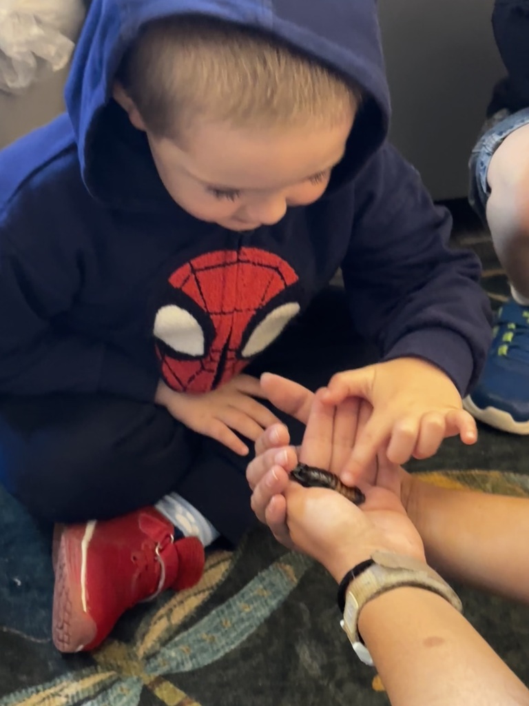 little boy petting a cockroach in a woman's hand