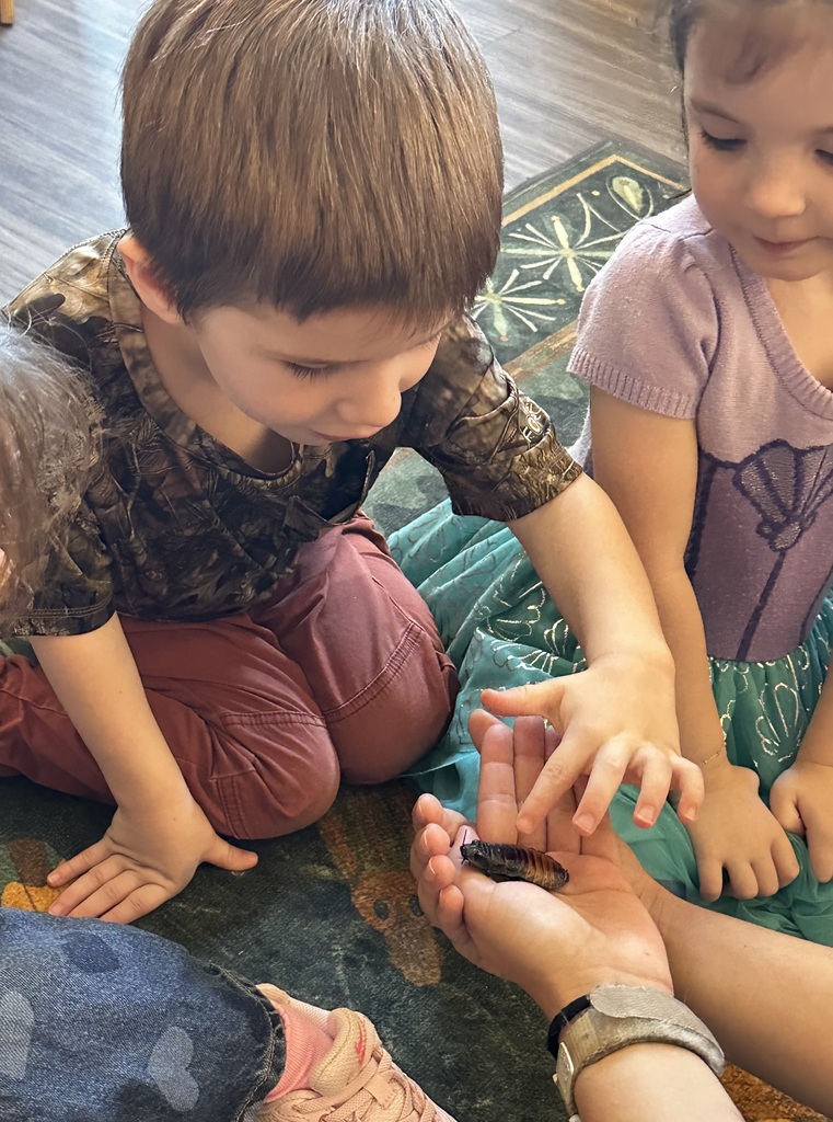 little boy petting a cockroach in a woman's hand