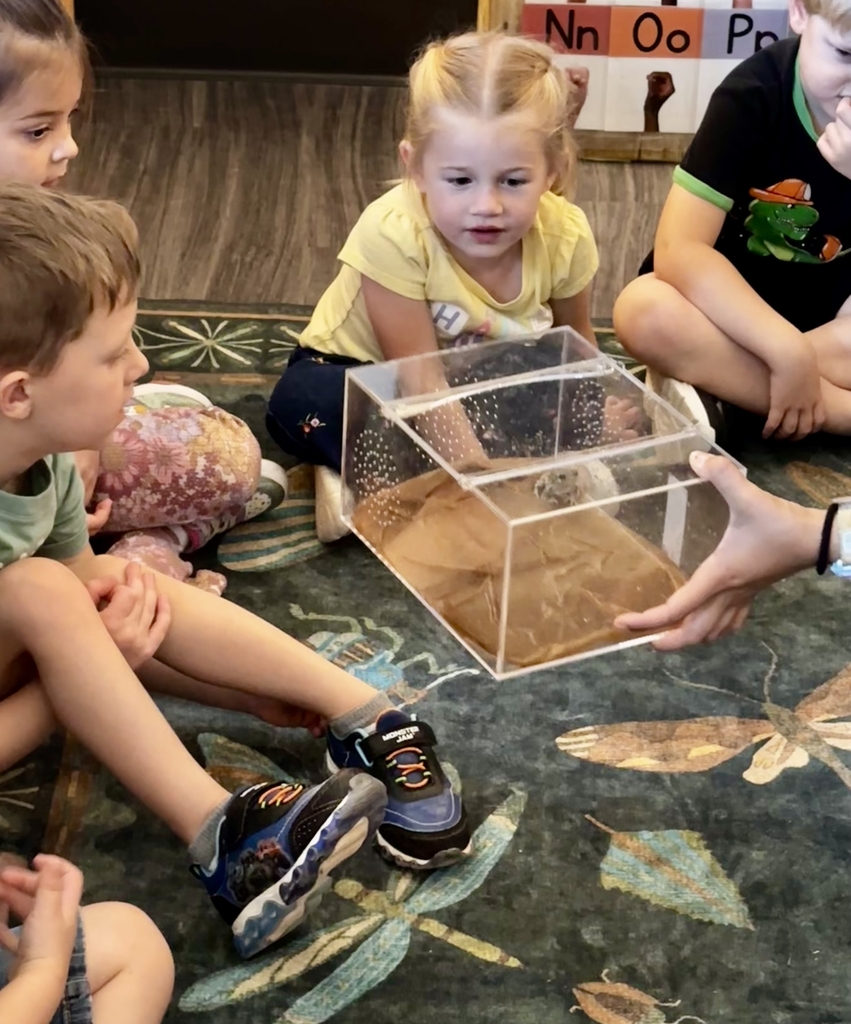 children looking at an animal in a clear box