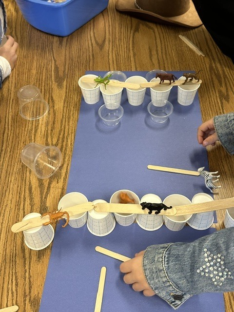 students making bridges out of cups and Popsicle sticks for small, plastic animals